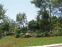 Apartment Mareonda